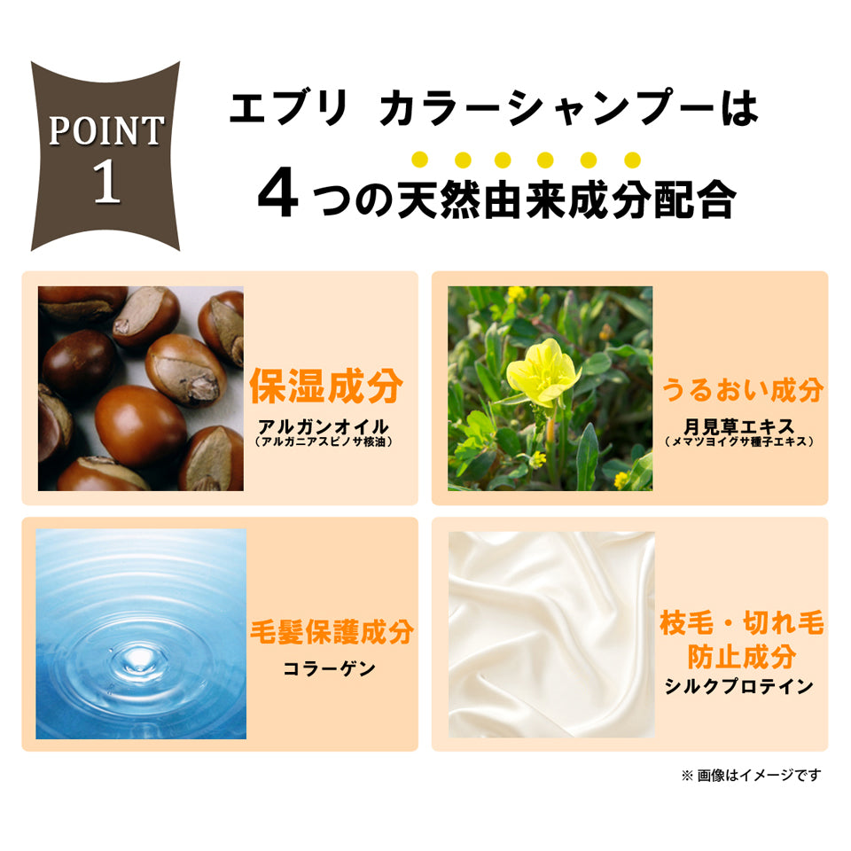 Every Color Shampoo (Blue) 300ml