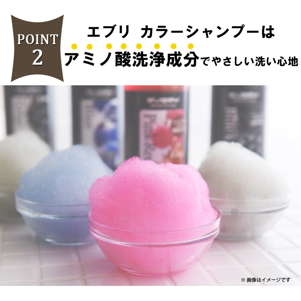 Every Color Shampoo (Blue) 300ml