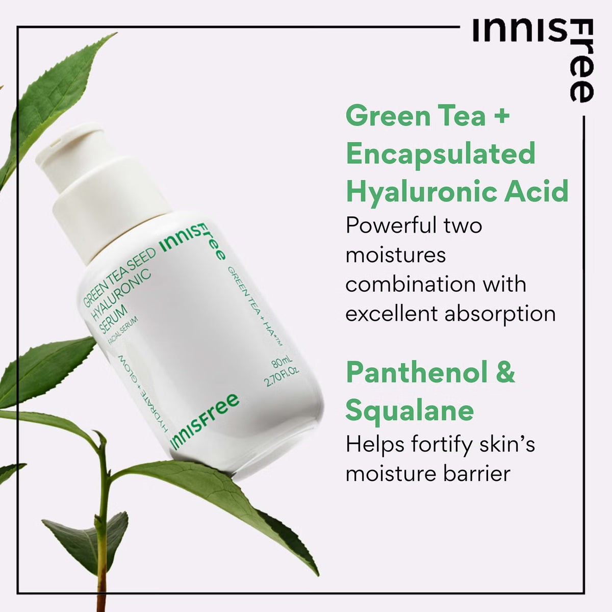 Green Tea Seed Hyaluronic Serum 80ml