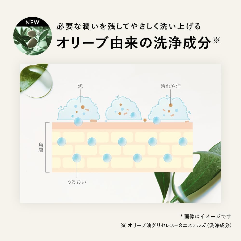 Botanical Body Soap Deep Moist 490ml