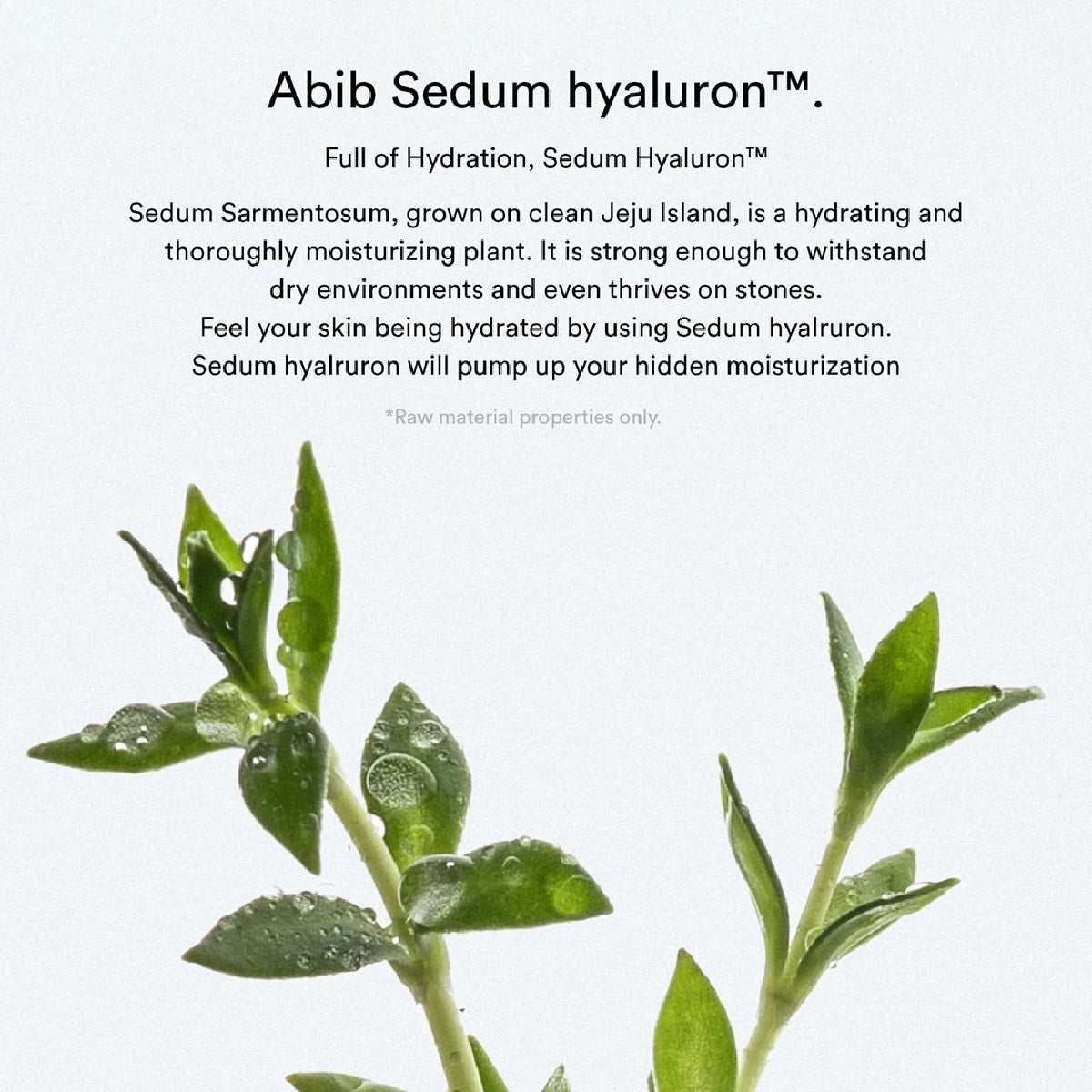 Sedum Hyaluron Pad Hydrating Touch 75pcs